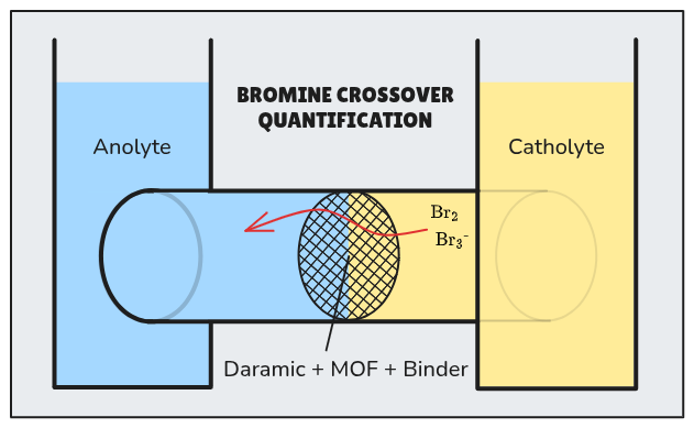 AIBN_Bromine_Crossover_Quantification.png