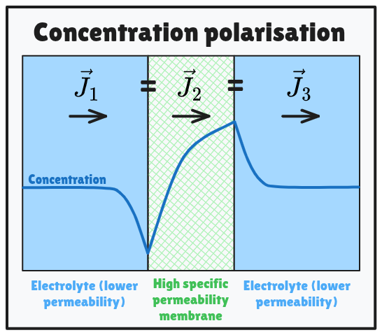 AIBN_Concentration_permeability.png
